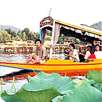 Jammu Kashmir Tours
